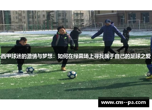 西甲球迷的激情与梦想：如何在绿茵场上寻找属于自己的足球之爱