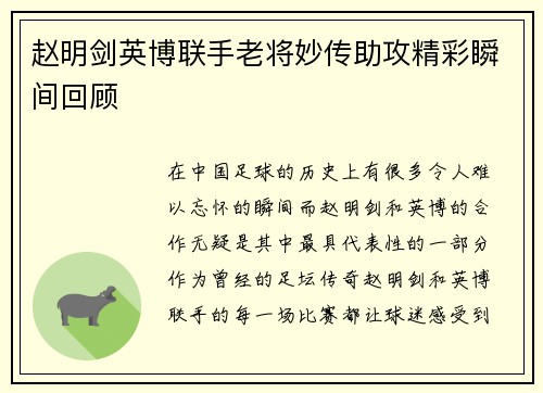 赵明剑英博联手老将妙传助攻精彩瞬间回顾